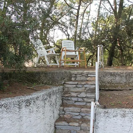 La Perla A 100m Dal Mare A Marina Di Castagneto Apartment