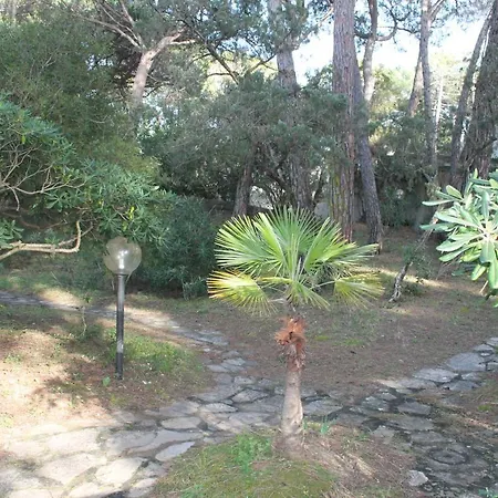 La Perla A 100m Dal Mare A Marina Di Castagneto Apartment